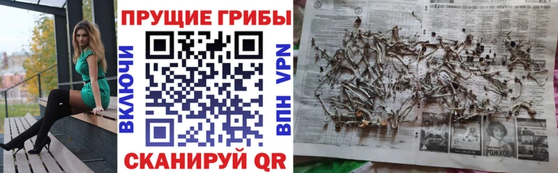 hydra как зайти  Партизанск  Галлюциногенные грибы GOLDEN TEACHER 